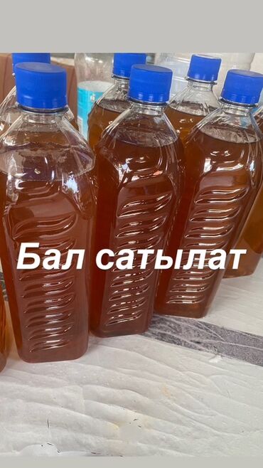 сахар оптом бишкек цена: Токтогулский чистый мёд сатылат (100%гарантия чистый) Ойлонбой заказ