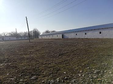 Kommersiya daşınmaz əmlakının satışı: 🔹 Satılır: Ferma – Xudat, Ləcət kəndi 🔹 ✅ Unikal fürsət! Xudat-Yalama — 11
