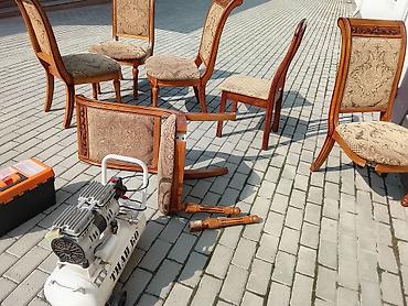 Другие животные: Ремонт перетяжка стулья — 25