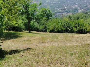 Torpaq sahələrinin satışı: Tikinti — 12