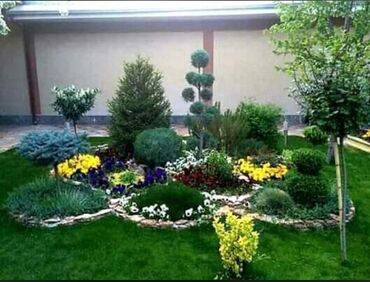 Ağaclar: Dekarativ agaclarin satisi qazon torpaq torf diger gubrelerin satisi — 9