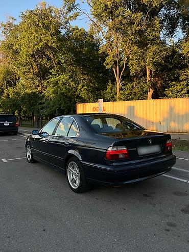 bmw e39 2 5: BMW 5 series: 2002 г., 2.5 л, Автомат, Бензин, Седан — 3