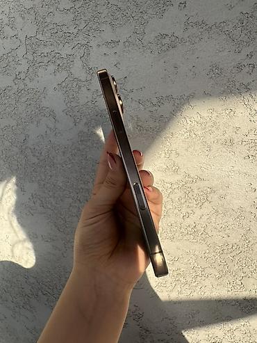 ipad 8th: IPhone 16 Pro Max, 256 ГБ, цвет светлый (похож на Natural — 5