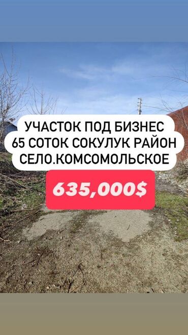 земельный участок военно антоновка: 65 соток, Для бизнеса, Договор купли-продажи, Красная книга, Тех паспорт