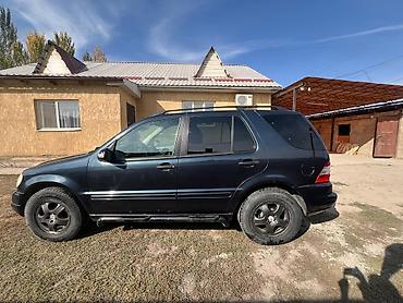 Mercedes-Benz: Mercedes-Benz M-Class: 2003 г., 3.2 л, Бензин, Внедорожник — 9
