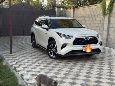 гибрид машина купить: Toyota Highlander: 2021 г., 2.5 л, Вариатор, Гибрид, Кроссовер