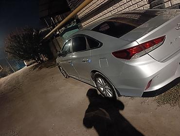 sonata 2015: Hyundai Sonata: 2019 г., 2 л, Автомат, Газ, Седан — 1
