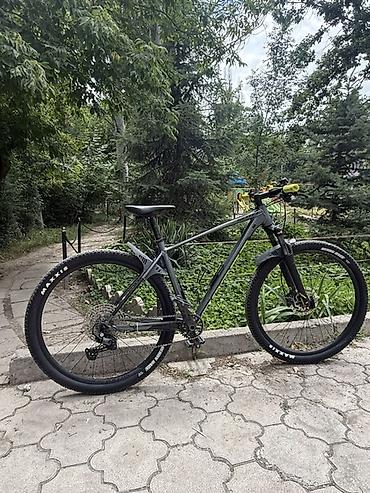 scott: Scott Scale 980 (хардтейл) 29” - Рама: алюминий, геометрия XC — 3