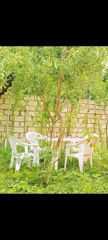 Günlük kirayə evlər: 90 kv. m, 3 otaqlı, İnternet, Telefon, Qaz — 27