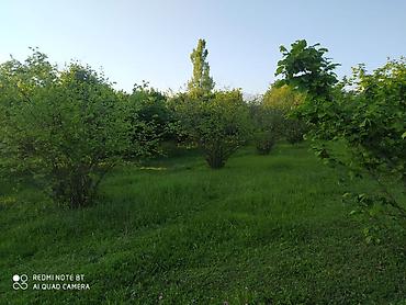 binə torpağ: 56 sot, Tikinti, Mülkiyyətçi, Kupça (Çıxarış) — 2
