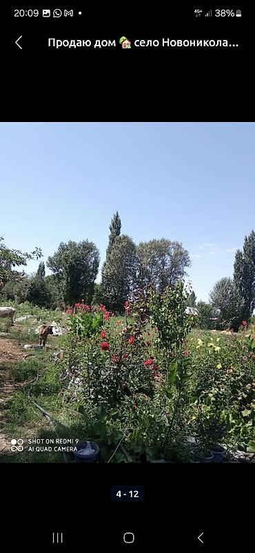 Продажа коттеджей и домов: Продаётся дом с участком в селе Новониколаевка. Описание участка: - — 6