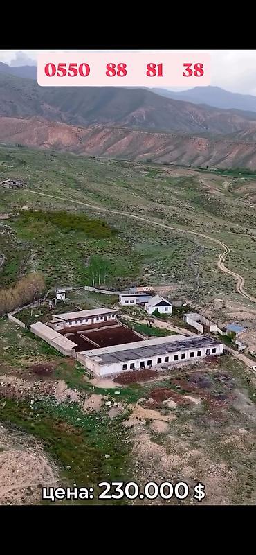Продажа участков: 500 соток, Для сельского хозяйства, Красная книга at lalafo.kg — 2 Продажа участков: 500 соток, Для сельского хозяйства, Красная книга — 2