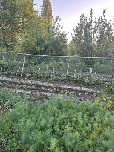 Продажа домов: Дом, 100 м², 5 комнат, Собственник, Евроремонт — 18