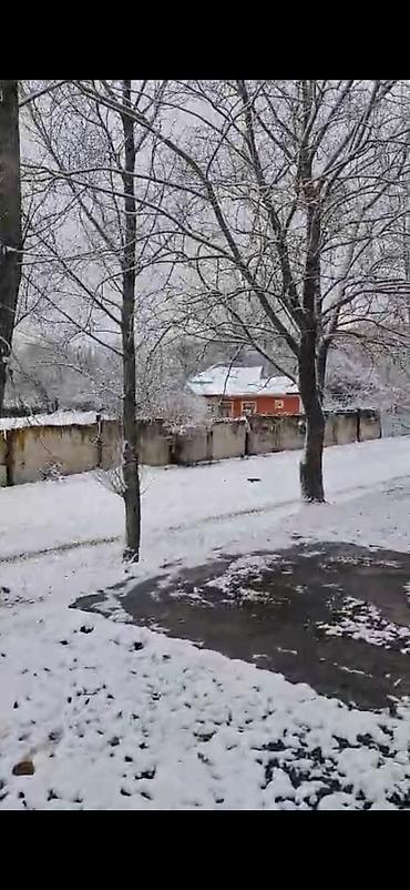 Bağ evlərinin satışı: Qəbələ, 16000 kv. m, 3 otaqlı, Hovuzsuz, İnternet — 3