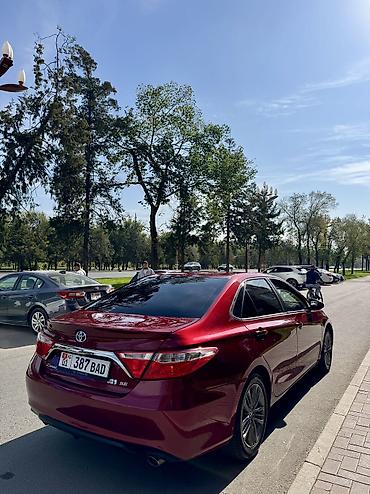 камри 55 полики: Toyota Camry: 2015 г., 2.5 л, Автомат, Гибрид, Седан — 2