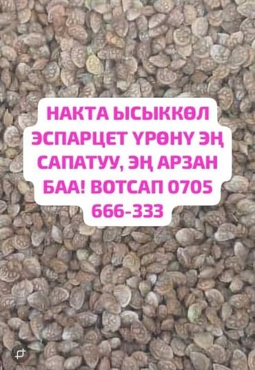 продажа саженцев винограда: Семена кормовых растений: Эспарцет, Платная доставка