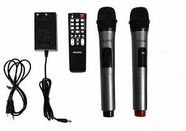 Zvučnici i stereo sistemi: Prenosni karaoke/Bluetooth zvučni sistem Microlab - Snažan prenosni — 19