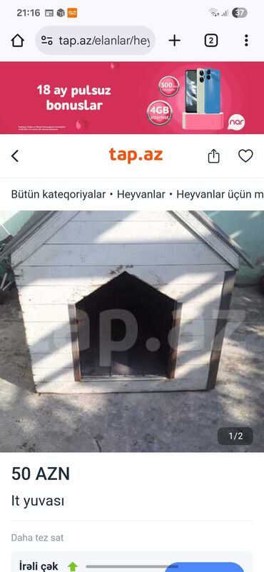 quş yuvaları: It yuvası