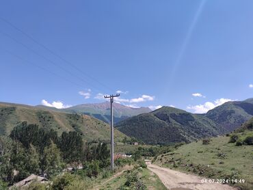 Продажа участков: 255 соток, Для сельского хозяйства — 3