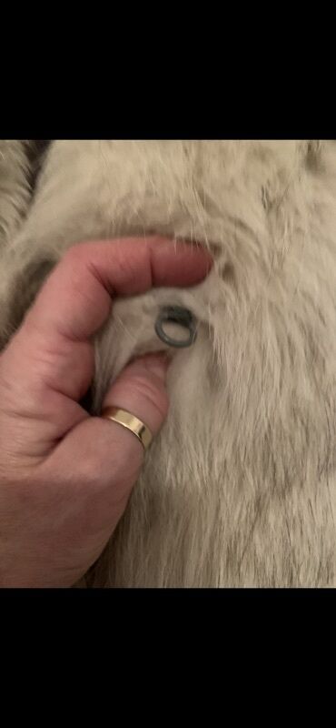 Krzneni kaputi: M, Sa postavom, Polarna lisica, bоја - Bež — 22