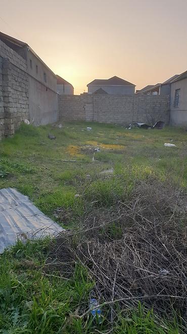 3 sot torpaq: 3 sot, Tikinti, Mülkiyyətçi, Kupça (Çıxarış) — 6