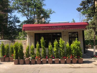 Restoran, kafelər: 28 may metrosuna yaxin 80 kv sahəsi olan kafe 3500azn icarəyə — 7