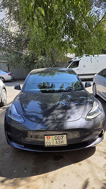Tesla Model 3: 2023 г., Автомат, Электромобиль, Седан