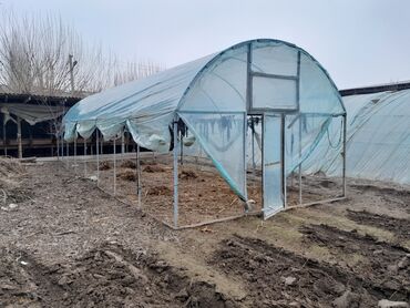 бизнес идеи для начинающих в кыргызстане: Готовый парник сатылат уйго орнотуп сразу иштететурган (ширина 4 м