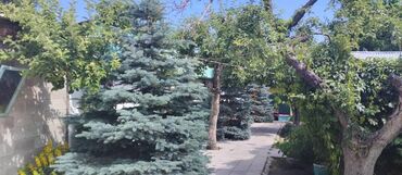 Продажа домов: Дом, 80 м², 4 комнаты, Собственник — 15