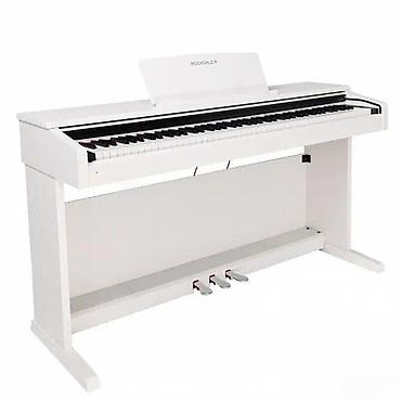dinami: Elektro piano "Rockdale Arietta White"Təsvir : Rockdale Elektro Piano — 4