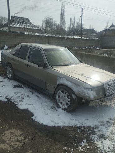 Mercedes-Benz: Mercedes-Benz W124: 1989 г., 2.2 л, Механика, Бензин, Седан