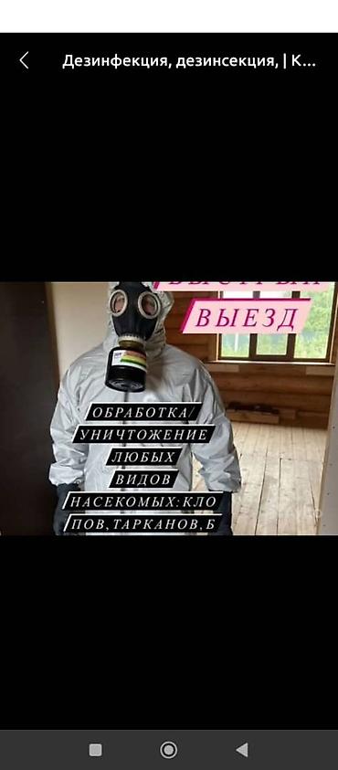 плиточные работы бишкек: Дезинфекция, дезинсекция, | Муравьи, | Квартиры — 1
