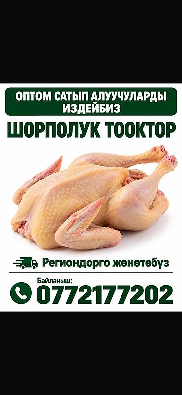 алель курица халяль: ДОМАШНИЕ КУРЫ🐓бульонные Свежие,экологические, мясистые, халяльные — 3