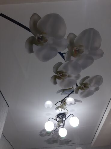 Натяжной потолок: Натяжной потолок Глянцевое, Матовое, 3D потолки Гарантия at lalafo.kg — 23 Натяжной потолок: Натяжной потолок Глянцевое, Матовое, 3D потолки Гарантия — 23