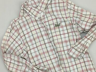 koszula w krate pepco: Shirt 5-6 years, condition - Good, pattern - Cell, color - Beige