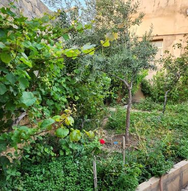 Həyət evləri və villaların satışı: Lökbatan qəs. 9 otaq, 220 kv. m, Orta təmir — 24