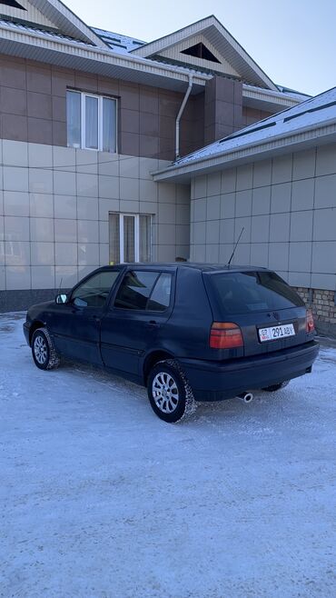 Volkswagen: Volkswagen Golf: 1995 г., 1.6 л, Механика, Бензин, Хэтчбэк