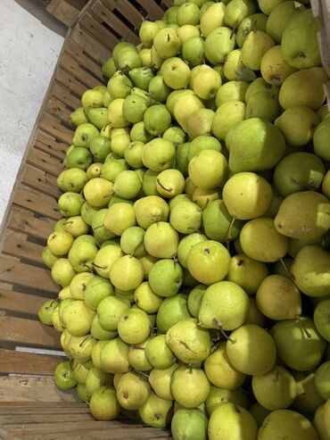 Груши: Груши В розницу, Самовывоз — 4