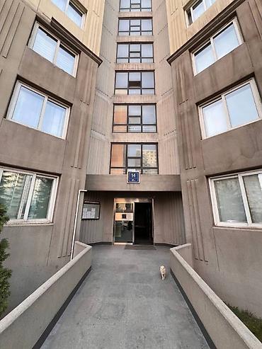 1300: С 1 сентября 2026 года сдаётся 4-комнатная студия 141 м² в элитном ЖК — 10