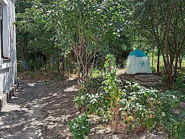 Продажа дач: Дом с садовым участком - Одноэтажный дом из кирпича/ракушечника с — 3