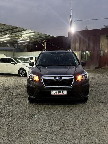 продаю субару форестер: Subaru Forester: 2019 г., 2.5 л, Вариатор, Бензин, Кроссовер