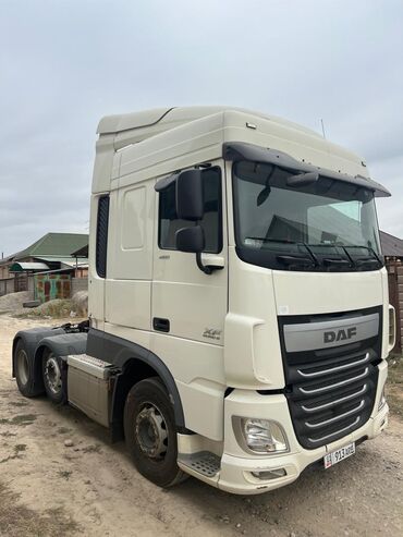 Тягачи: Тягач, DAF, 2017 г., Без прицепа — 5