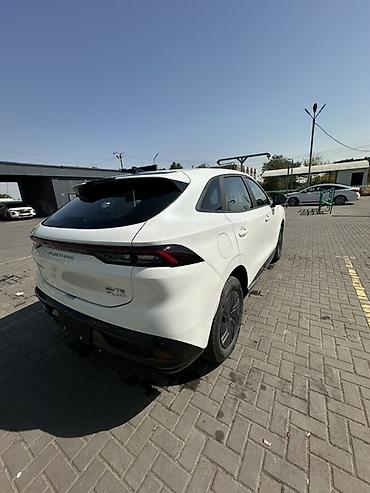 электрическая авто: Dongfeng Aeolus Haohan: 2026 г. — 4