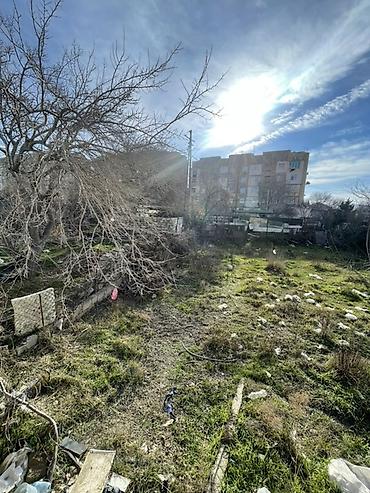 salyan: 10 sot, Makler, Kupça (Çıxarış) — 1