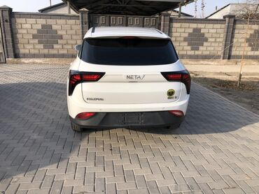 BYD: BYD : 2021 г., Электромобиль, Кроссовер — 4