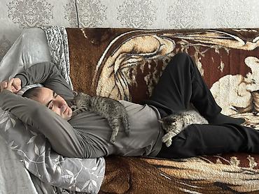 BMW: BMW 5 series: 1994 г., 2.5 л, Механика, Бензин, Седан — 20