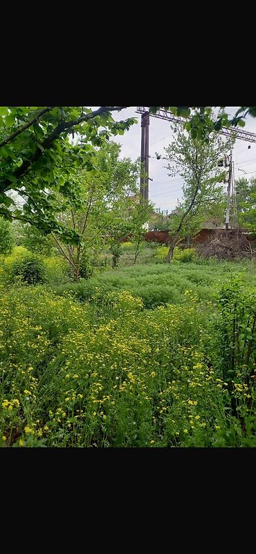 Torpaq sahələrinin satışı: 8 sot, Tikinti, Mülkiyyətçi, Kupça (Çıxarış) — 7