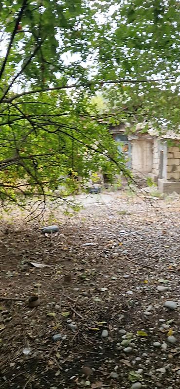 Torpaq sahələrinin satışı: 85 sot, Kənd təsərrüfatı, Mülkiyyətçi, Kupça (Çıxarış) — 13