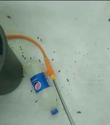 Дезинфекция, дезинсекция: Дезинфекция, дезинсекция, | Клопы, Блохи, Тараканы, | Транспорт, Офисы, Квартиры — 7