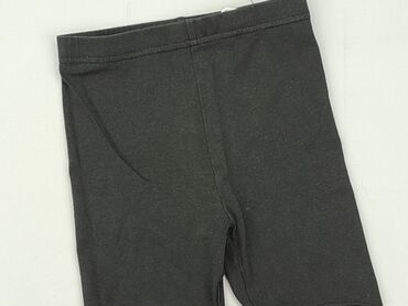 krótkie spodenki milo: Shorts, SinSay, 4-5 years, 110, condition - Very good